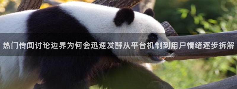 吃瓜网:热门传闻讨论边界为何会迅速发酵从平台机制到用户情绪逐步拆解